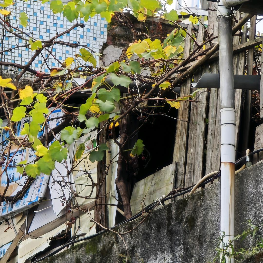 明明白白