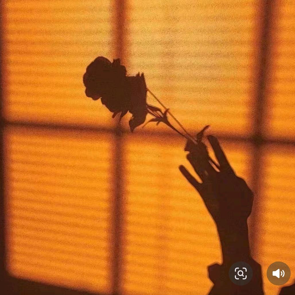 要是有你