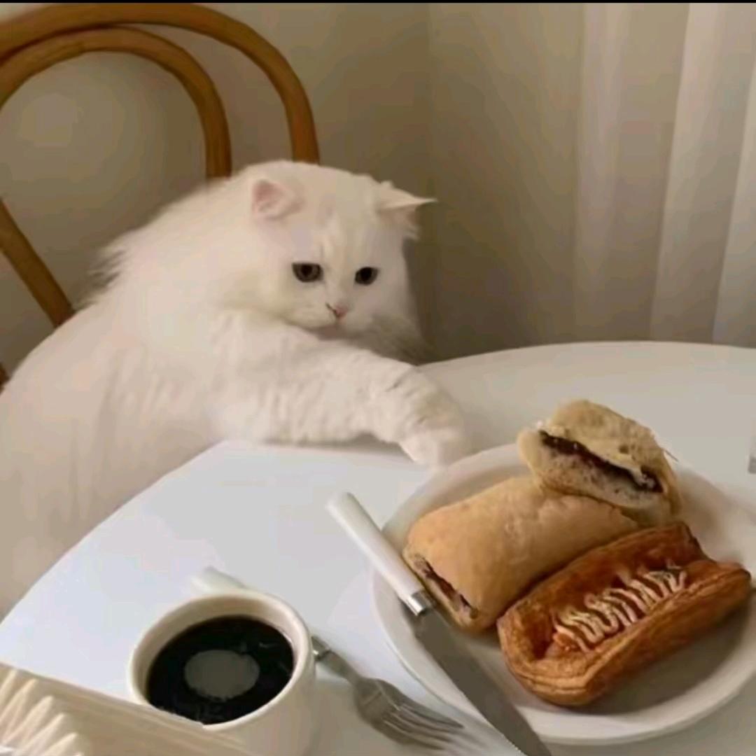 黑猫百货