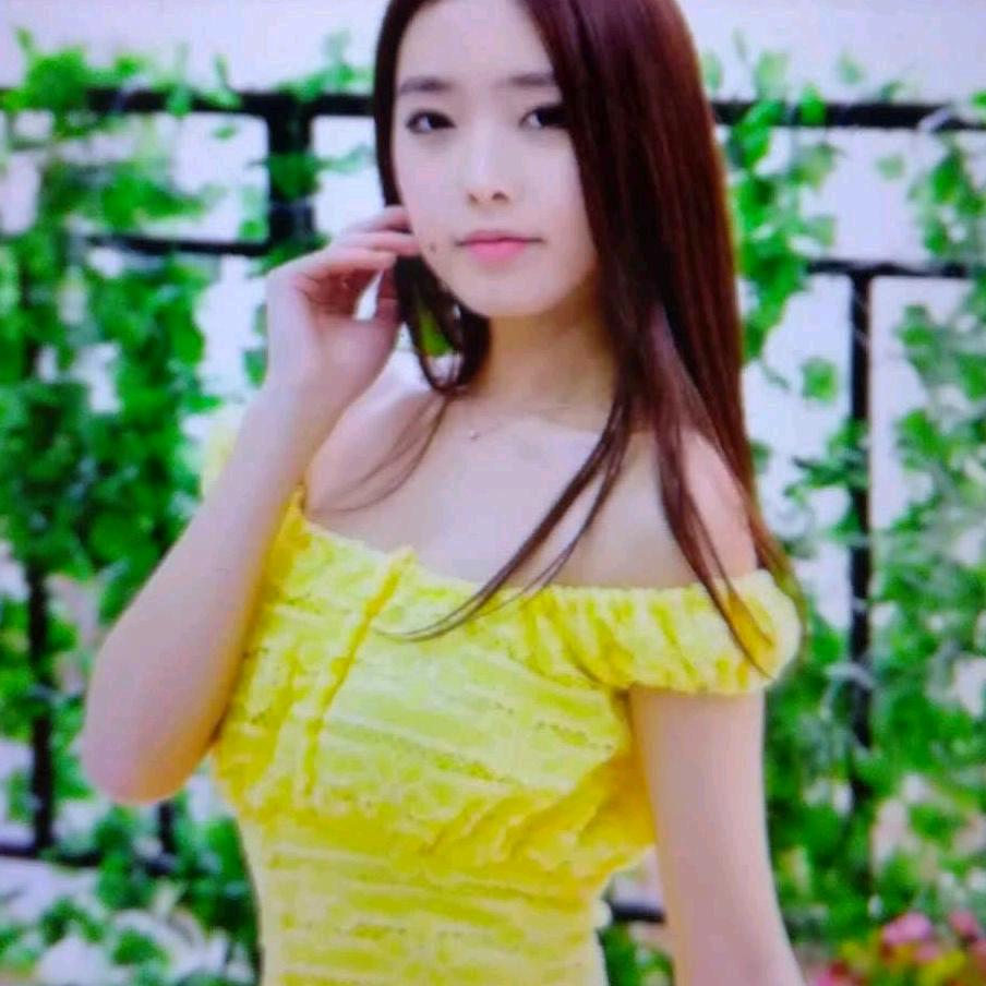 🍃🌸🍃🌸蝶恋花🍃🌸🍃🌸