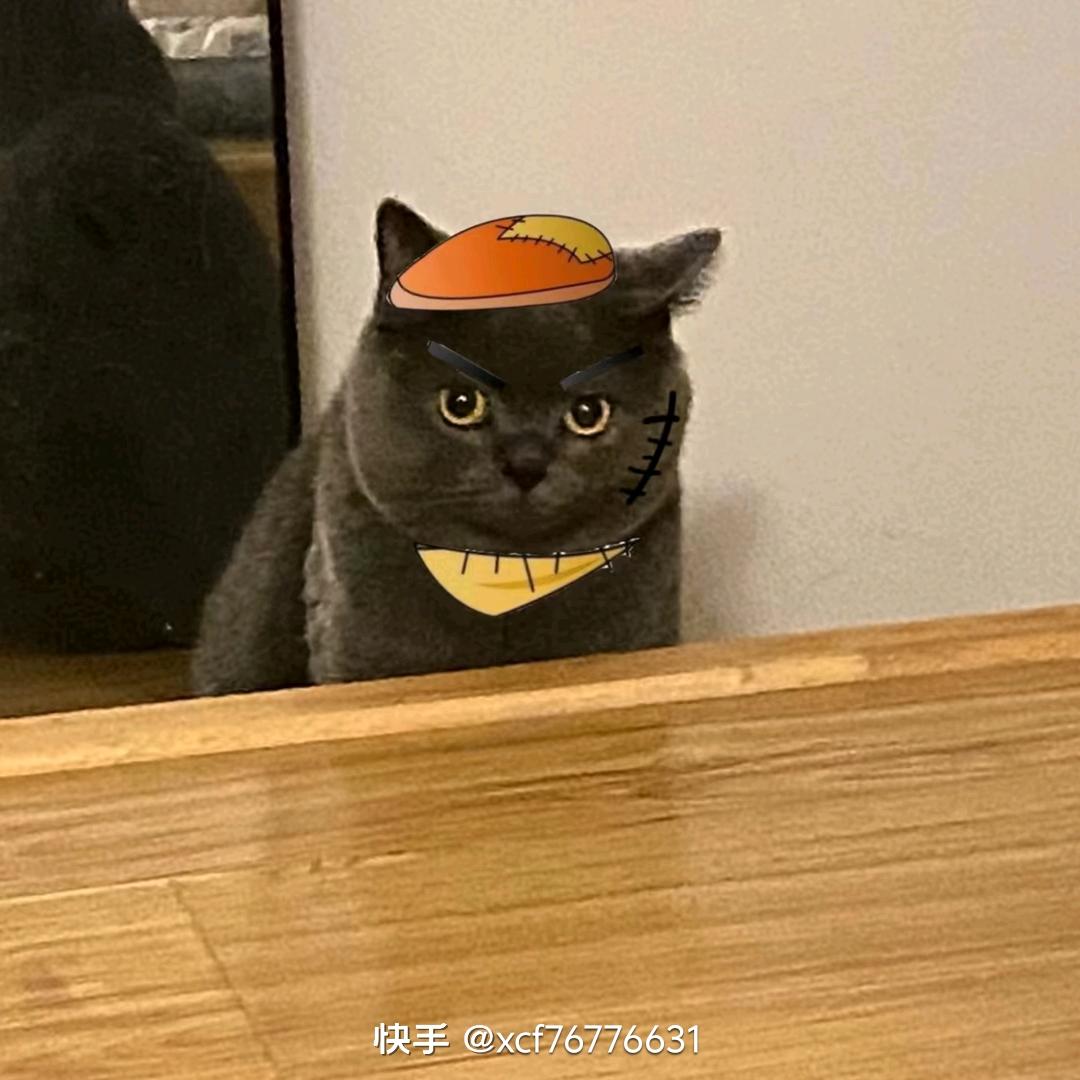 早雾努力买下房地产
