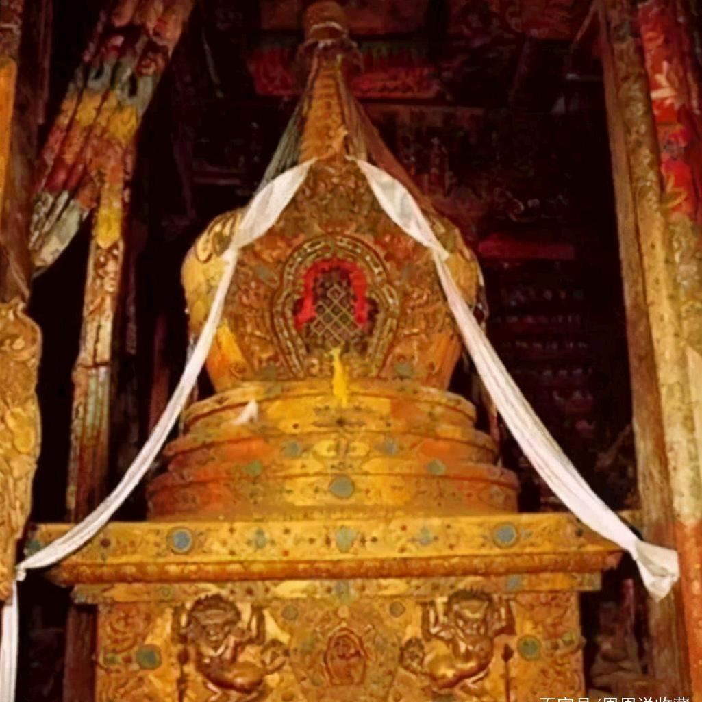 网红余总9688随心所欲