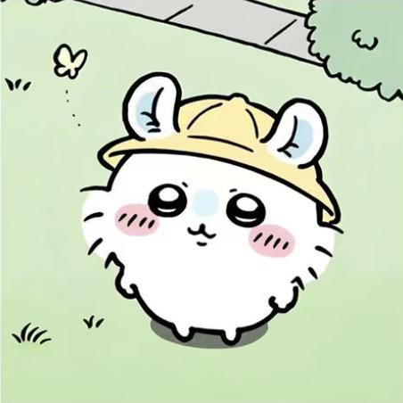 珧