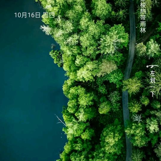 浪漫货天下