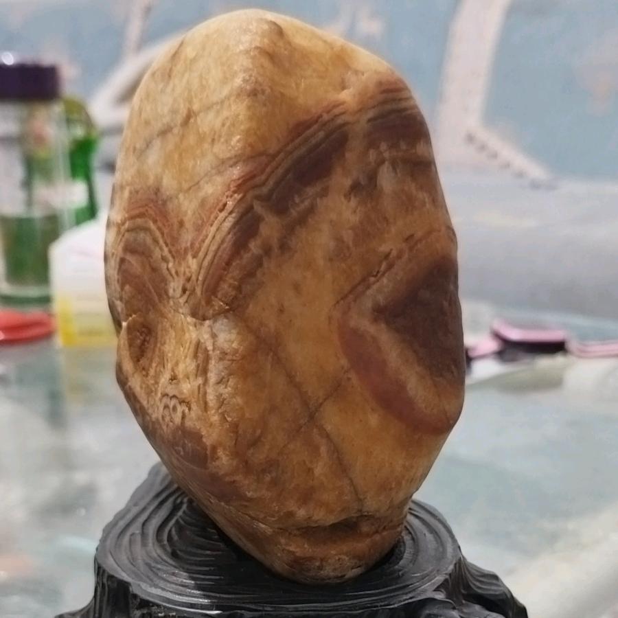 涛涛554422772233779988