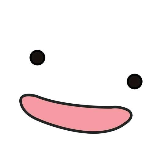 冰美诗
