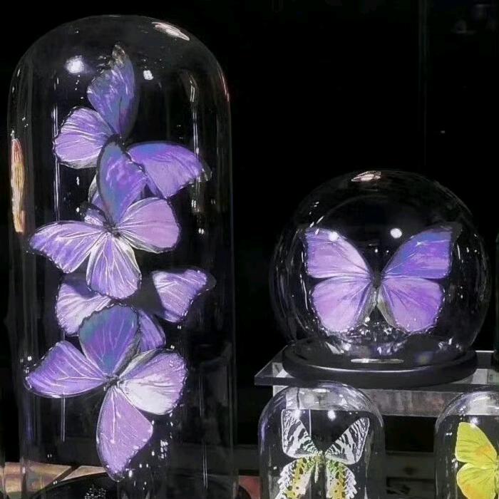 ๑蜜桃西瓜茶๑