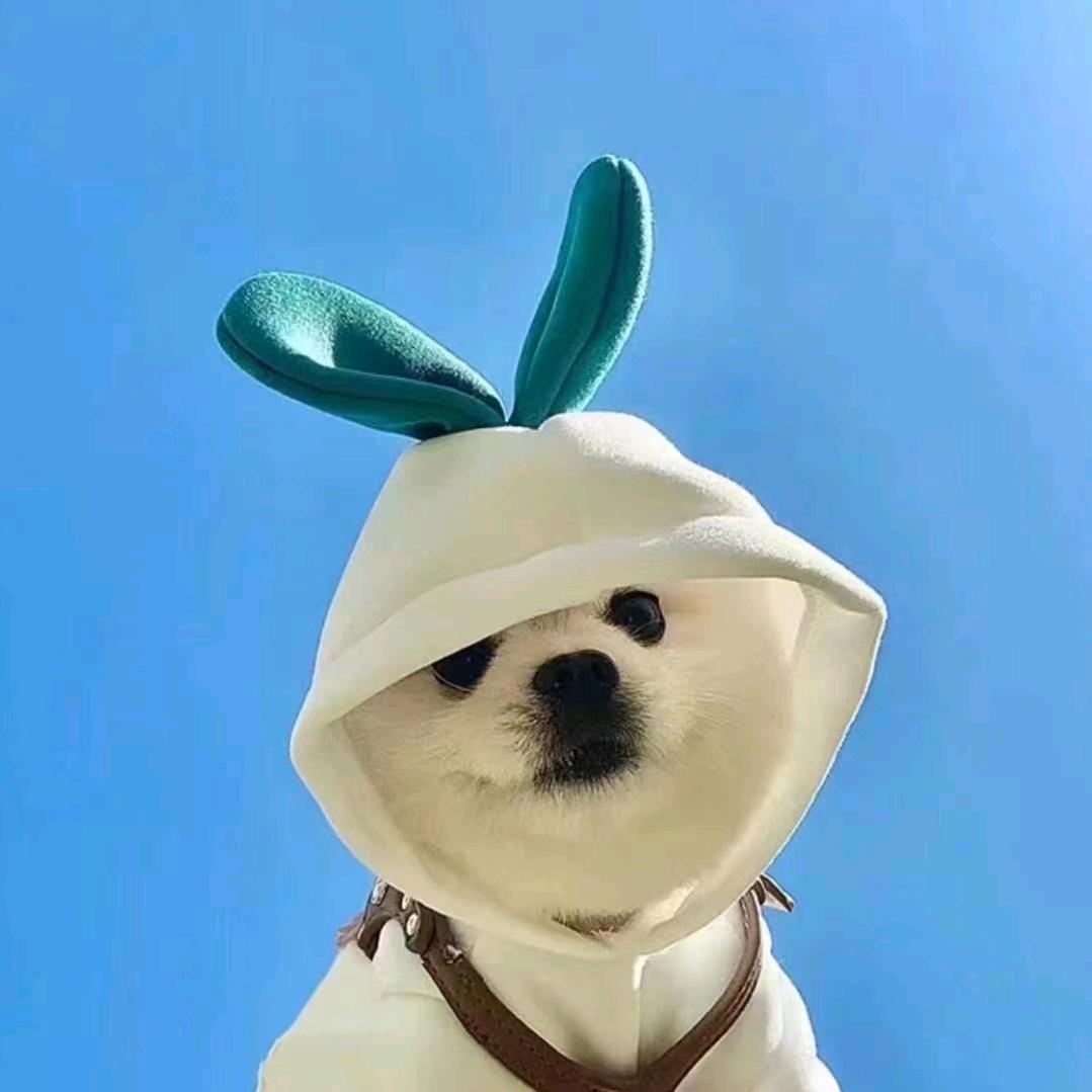 小孙苦练偷后场