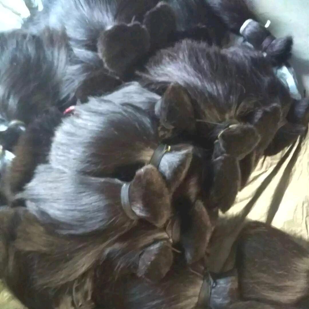 毅然