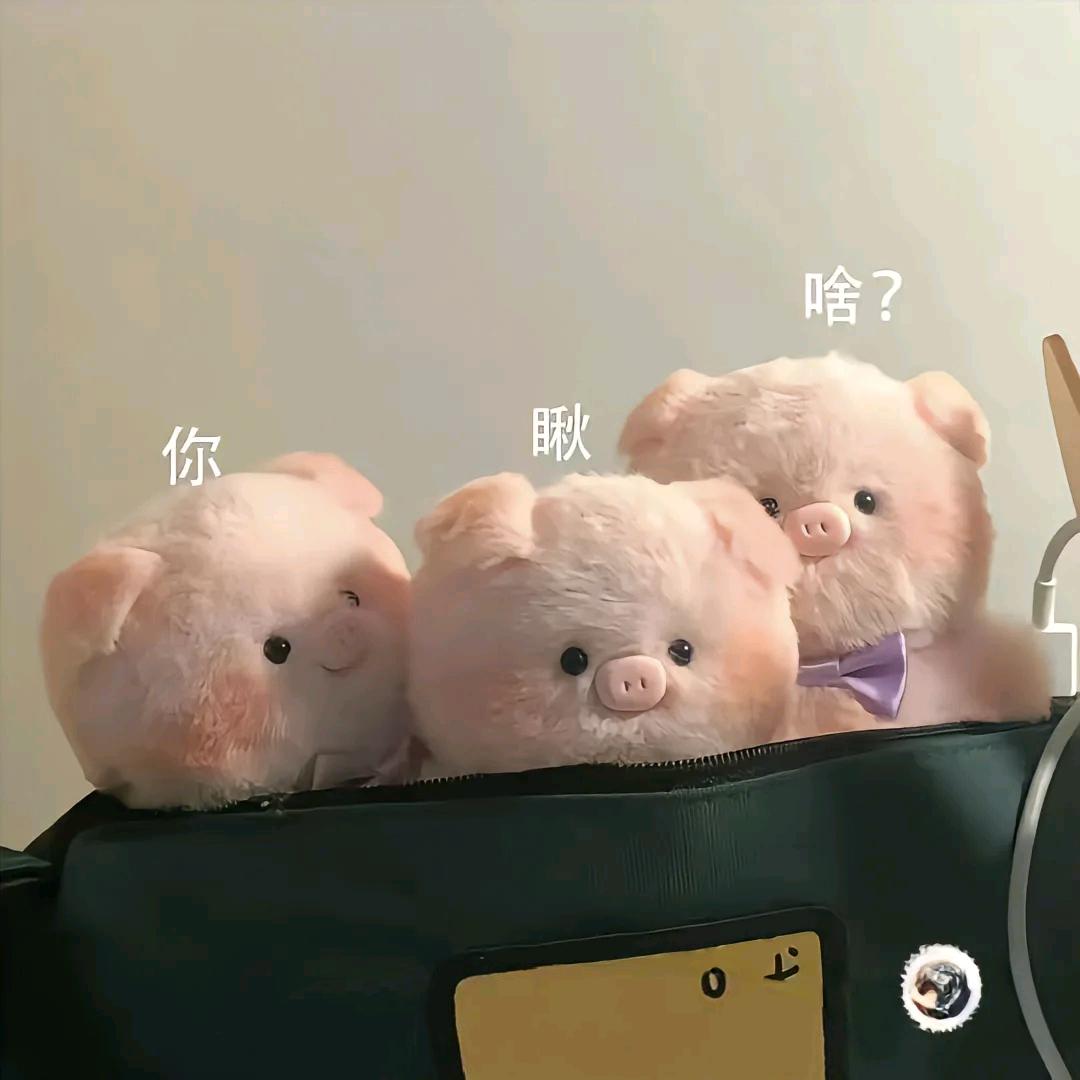 我吃饭的时候不饿