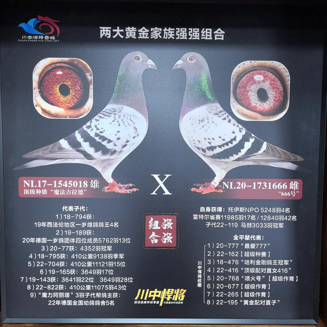 川中悍将蓝天龍腾