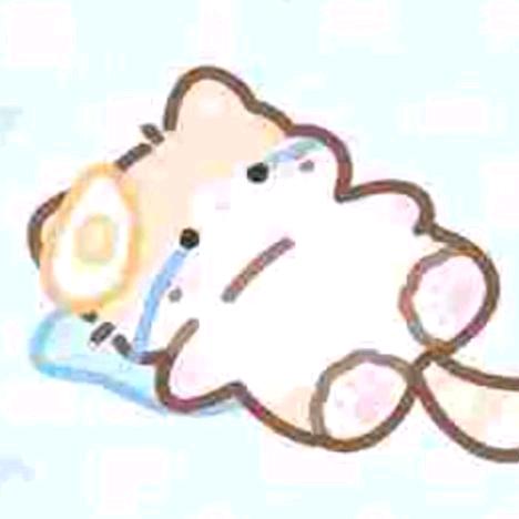 小洪.