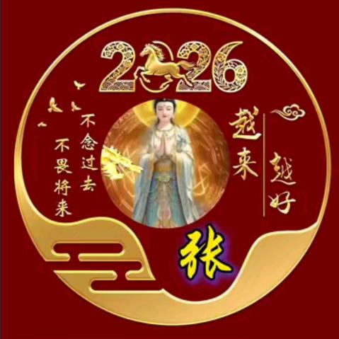 珑鑫安防科技张梦鑫