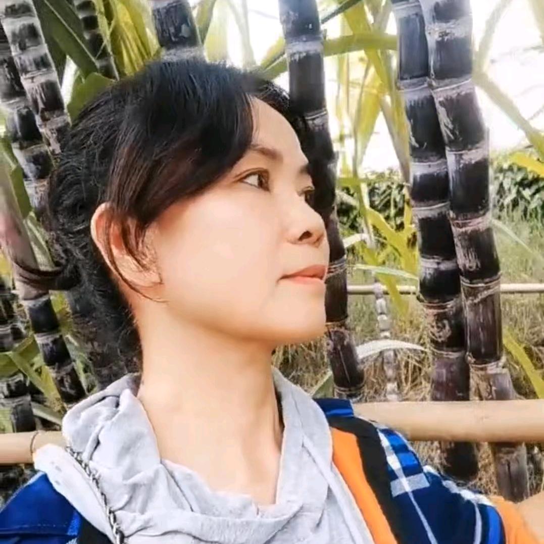 七妹