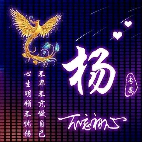 灵芝6741314