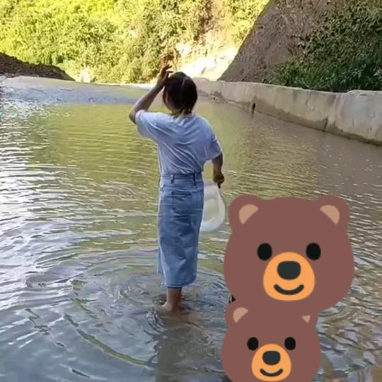 小  太   《杨》