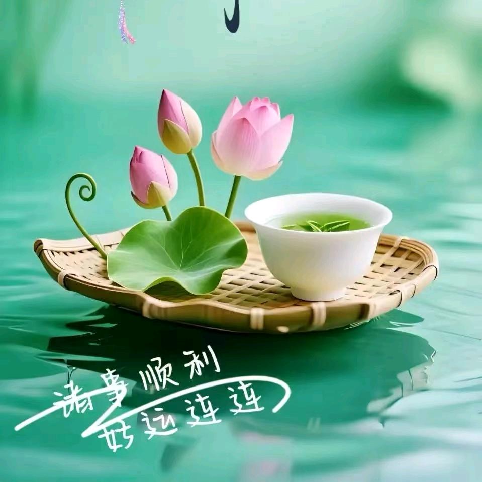 又双叒一十八😜