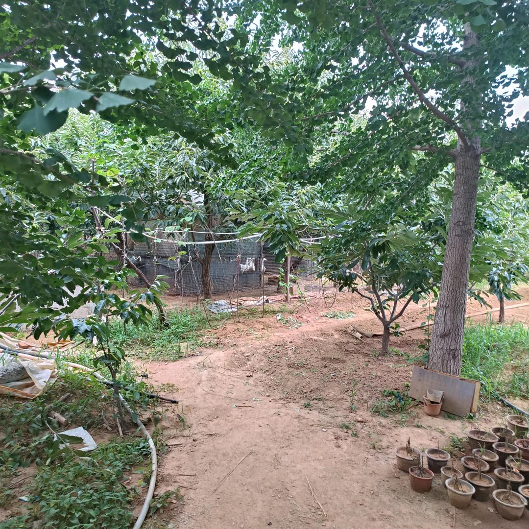 英华源好物小铺0Hl