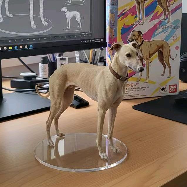 兔飞🐶猛进