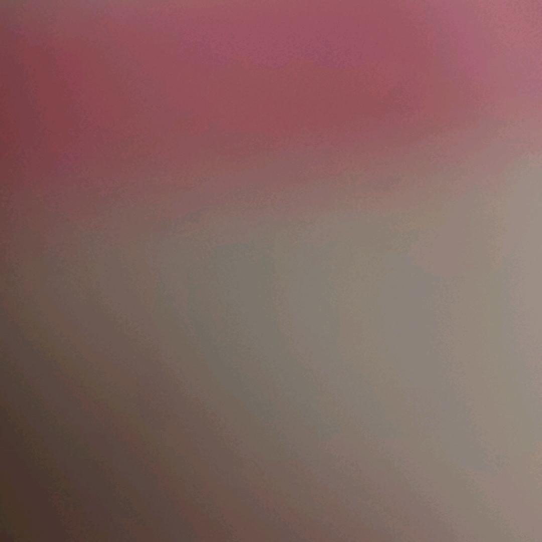渝渝二妹