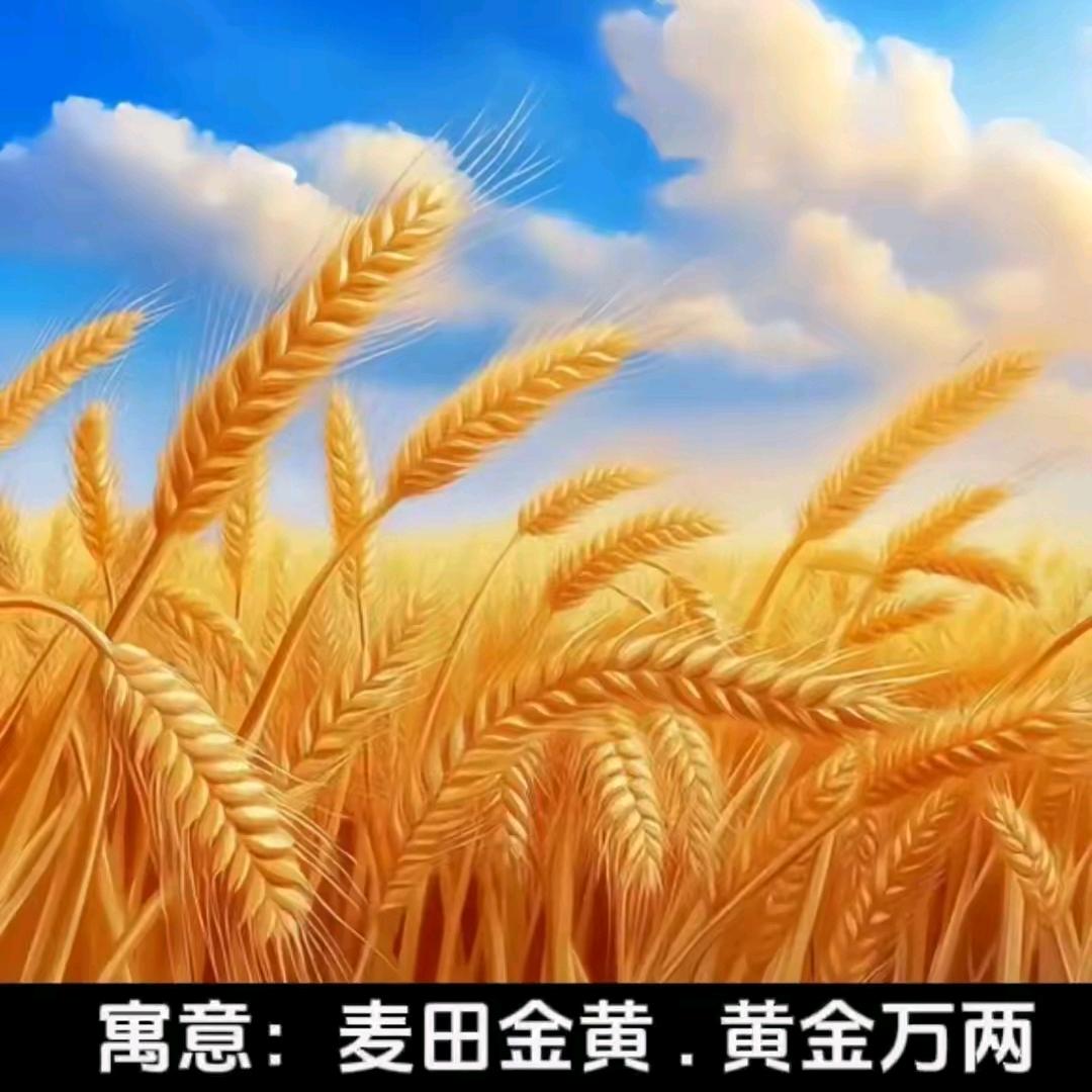 成都家政人（家政帮助免费安排工作）