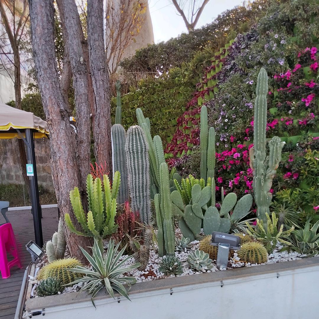 杜家才子志高远