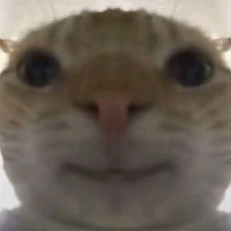 鬼鬼（三角洲行动）