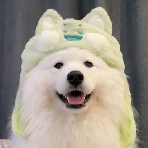 一一