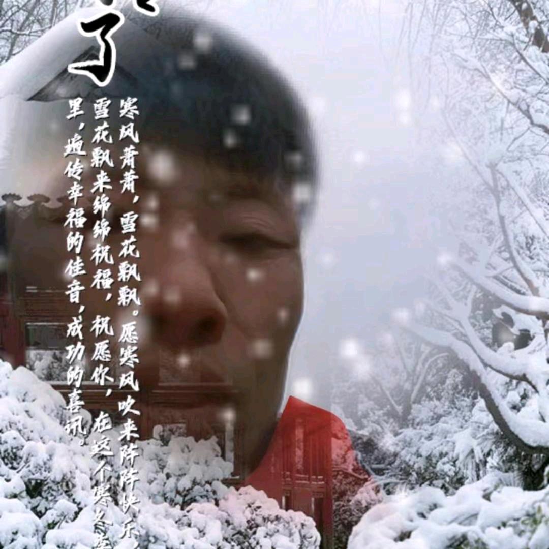 放羊强哥