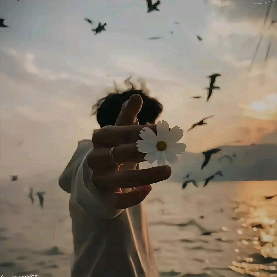 晚风"