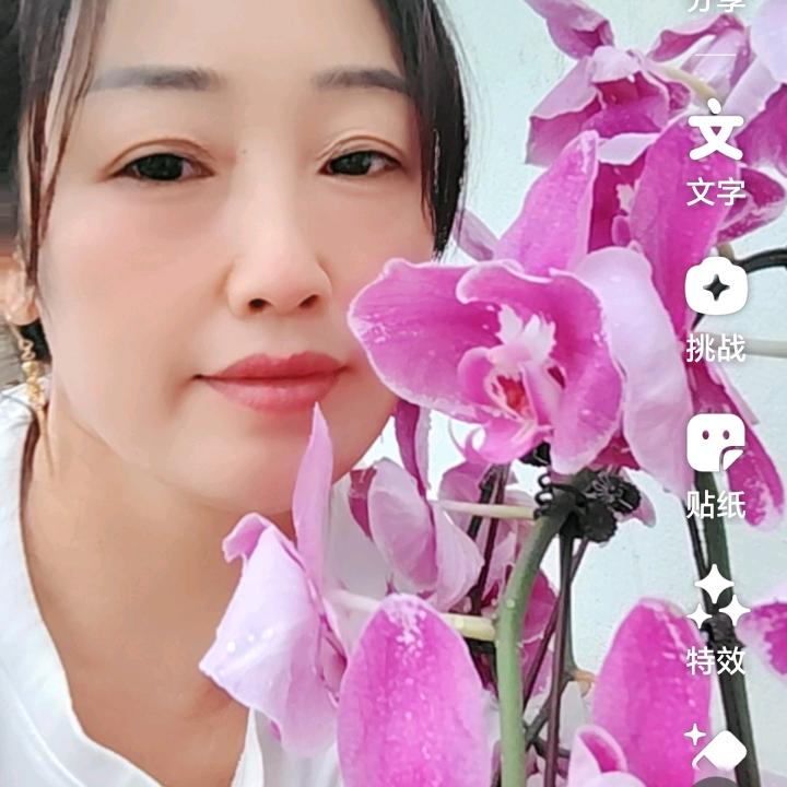 虎妹