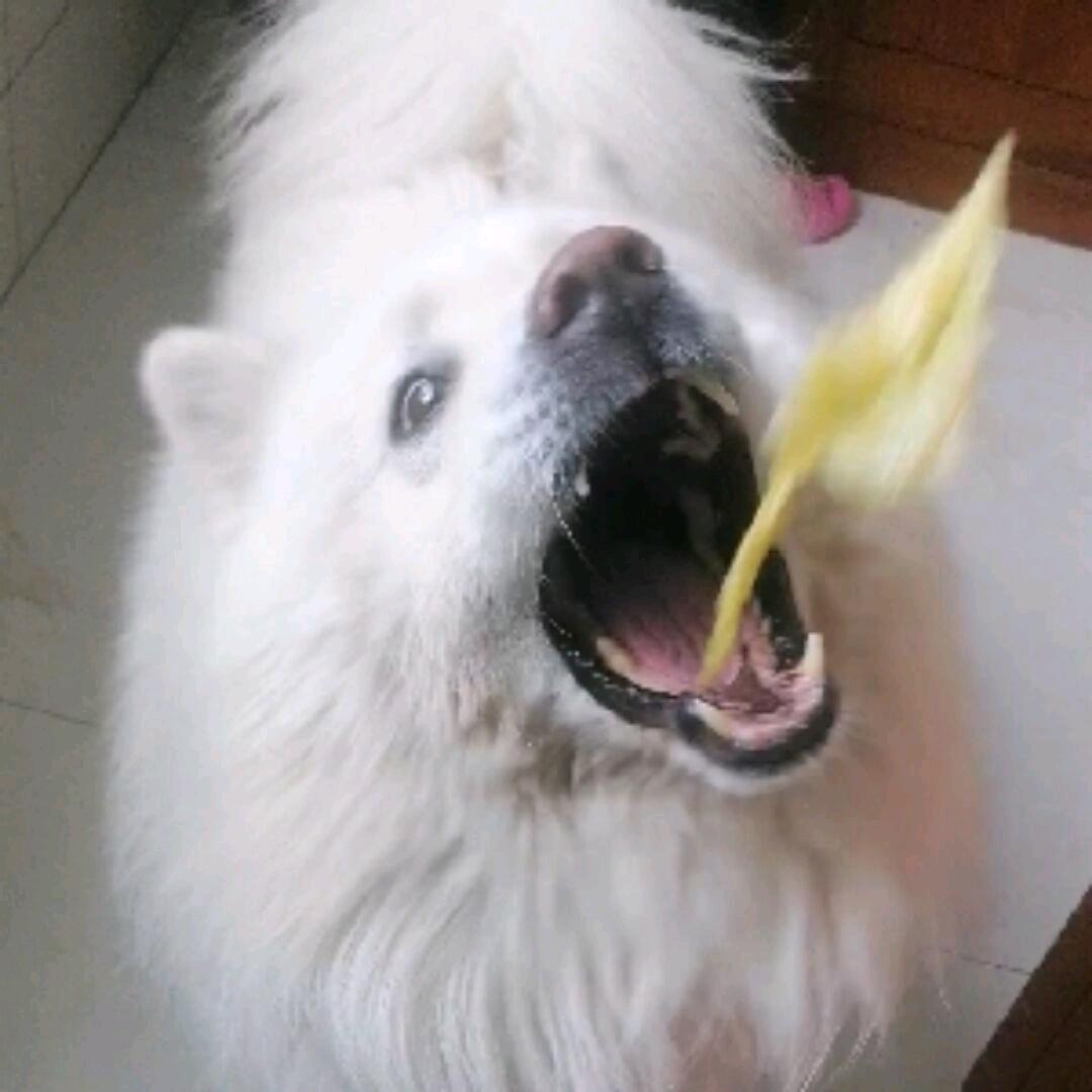 密饯