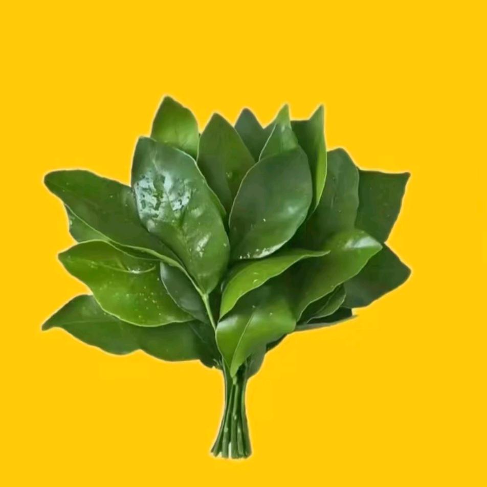绵绵冰
