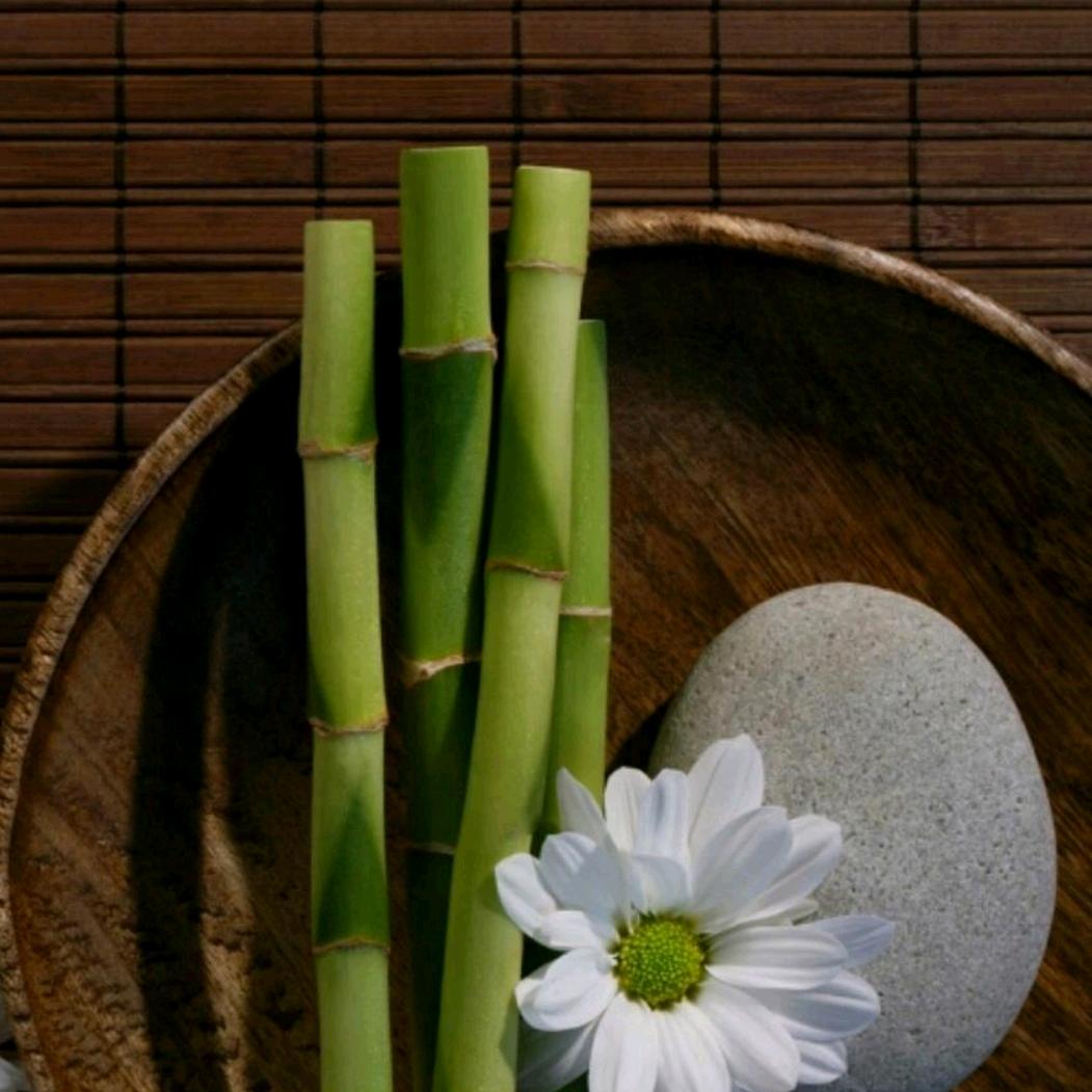 风华依旧笑春风