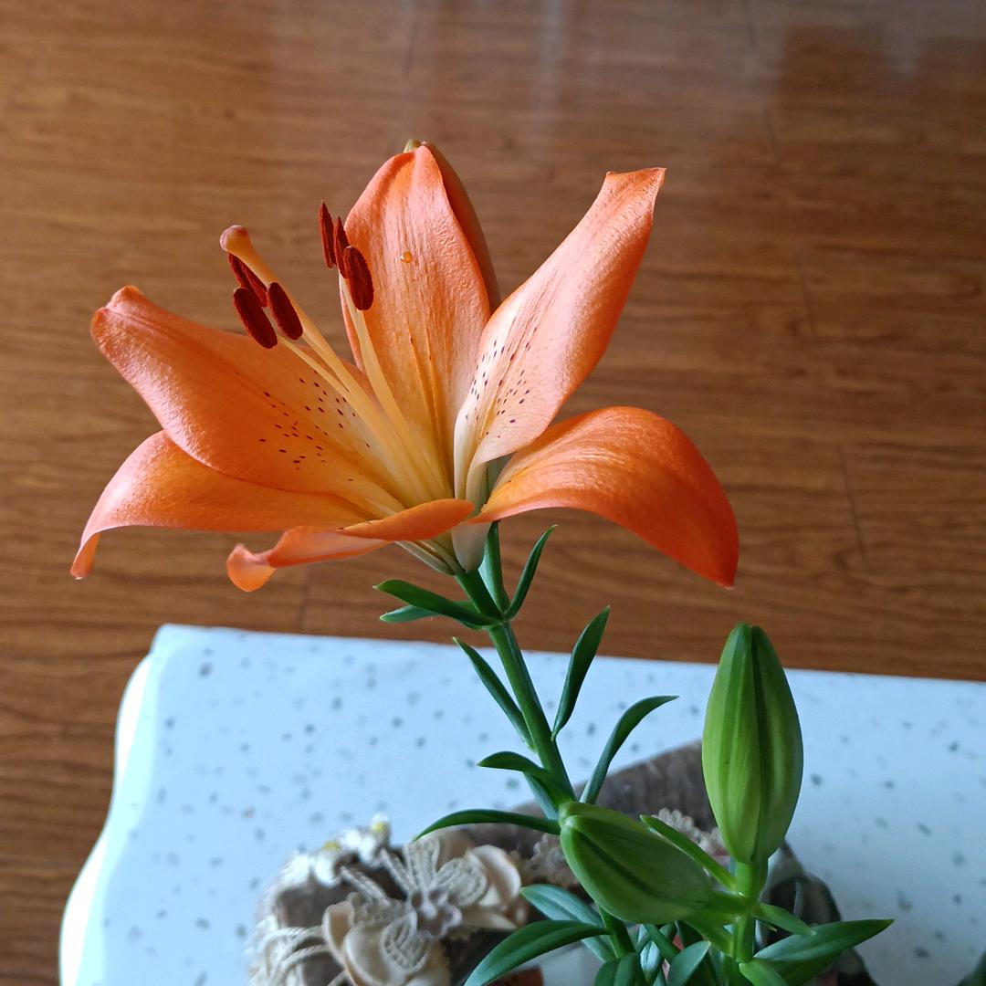 李梦研晚上19.10、