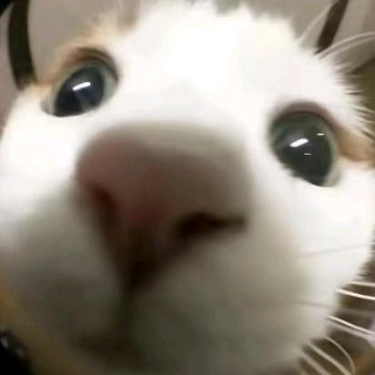 Tony斯