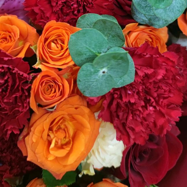 今生隻爲你守候