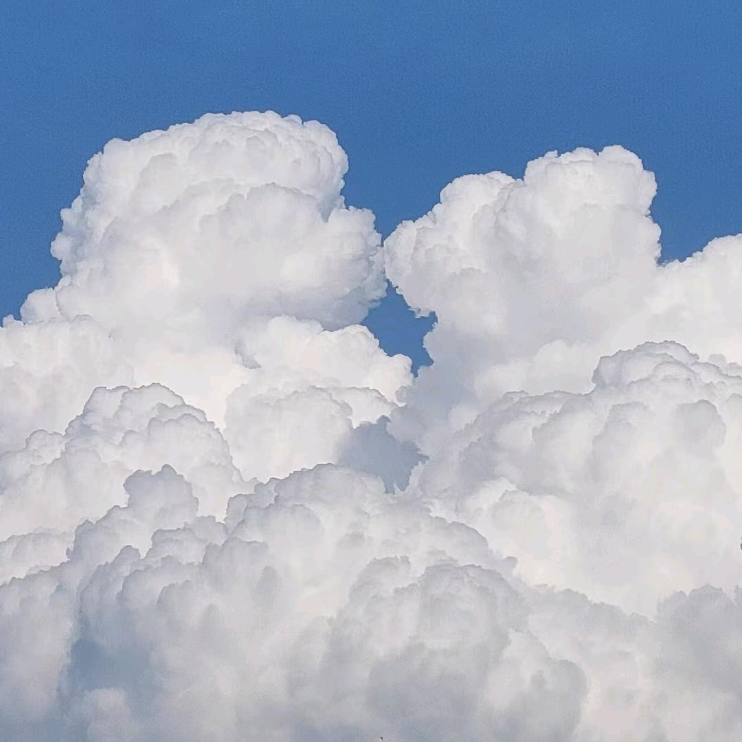 朐山春风江丽