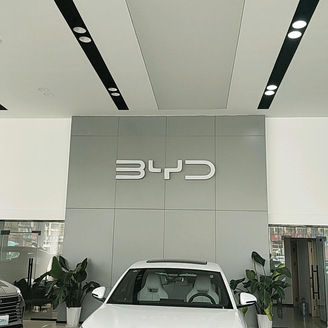 郯城迪亚盛海洋店(比亚迪)