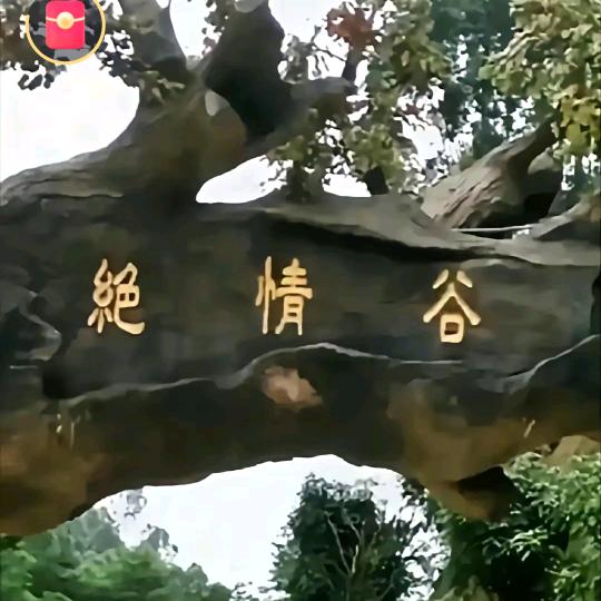 忘记过去