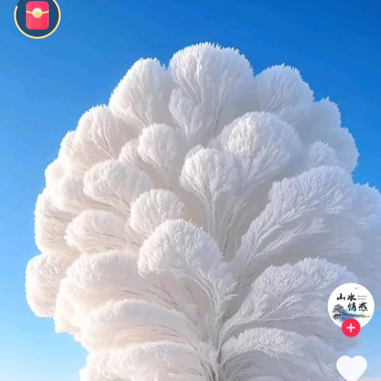 玲