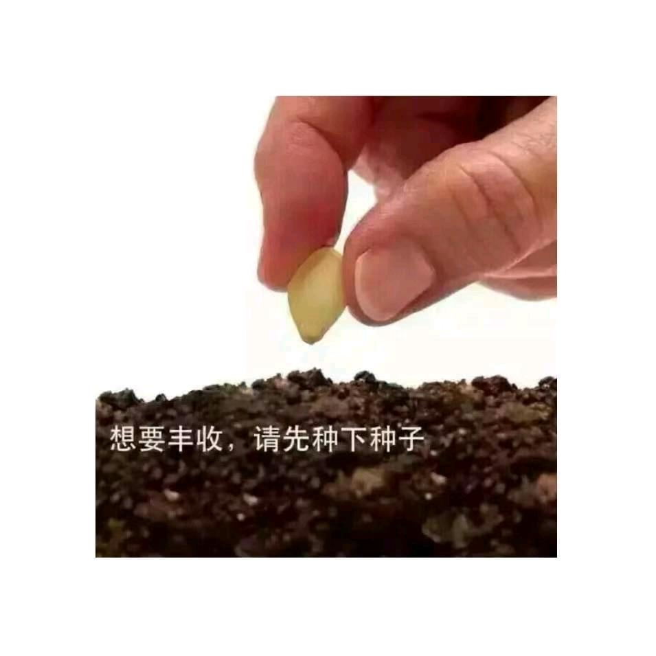 朝利养殖