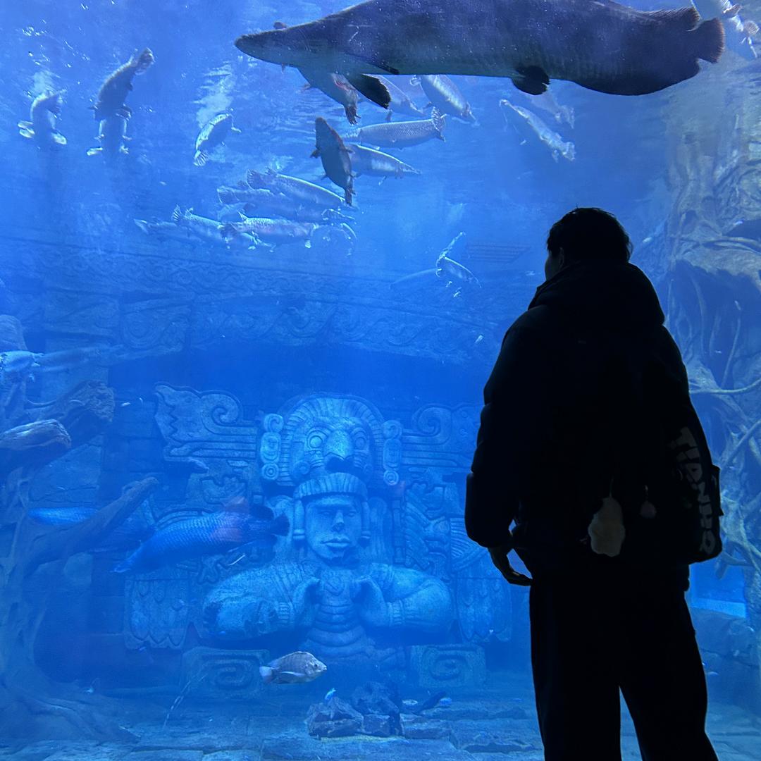 壹品游泳健身-小🐟.