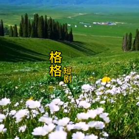 好看的热门短剧