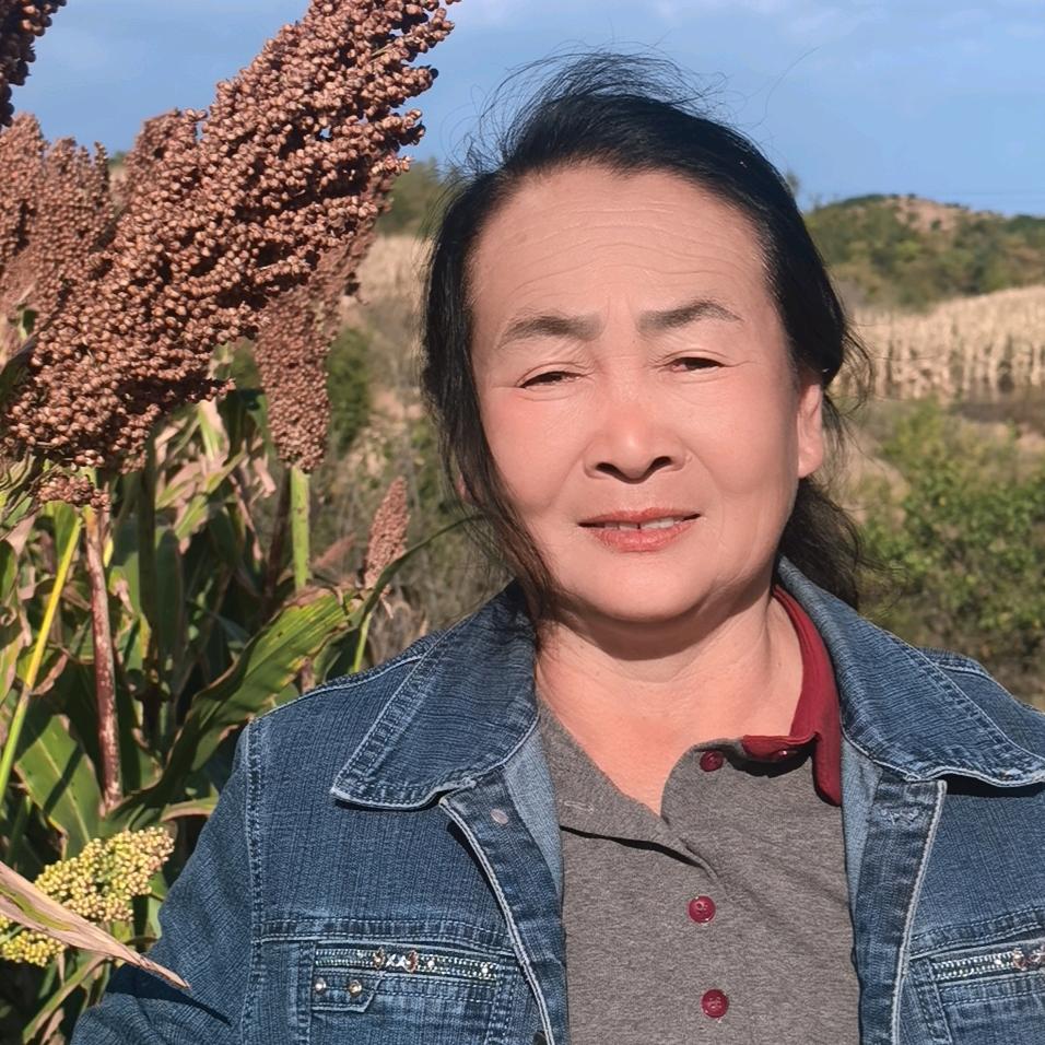 萍姐是个好妈妈