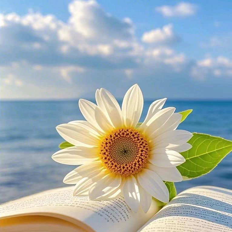 এ᭄ꦿ꯭ꫛ奈何এ᭄