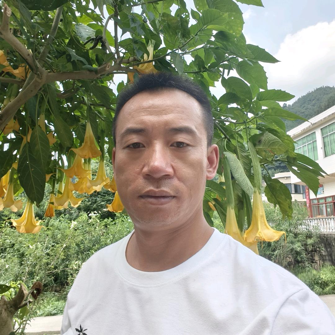 小平哥