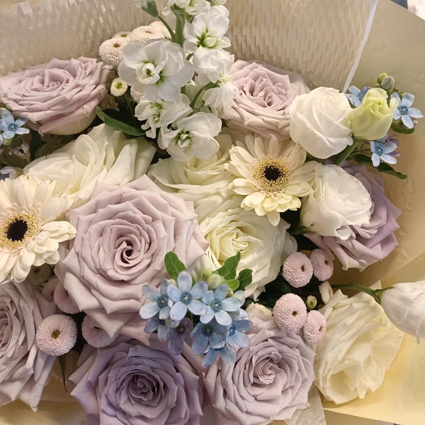 一花一世界精彩