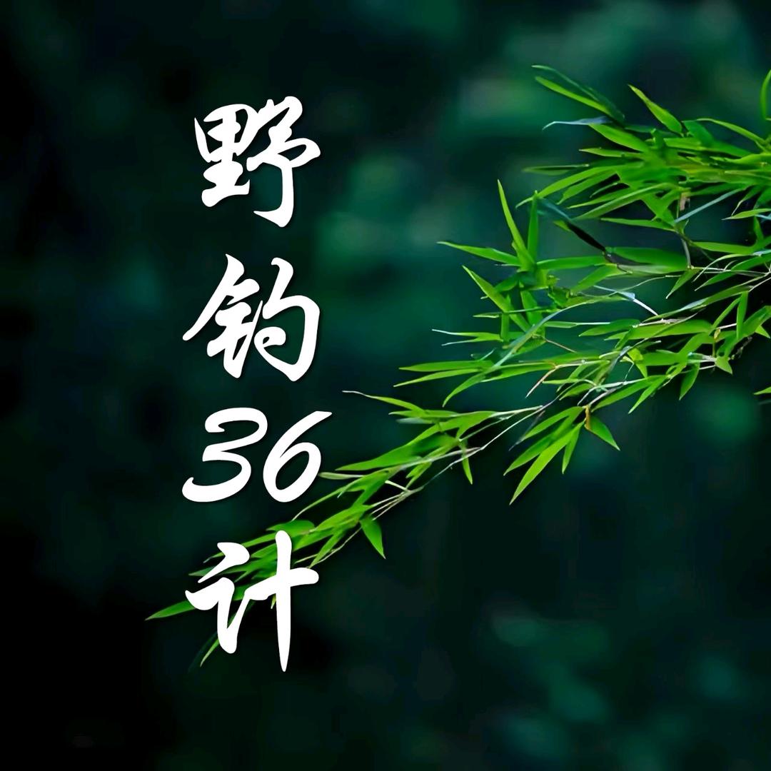 野钓36计(tian)