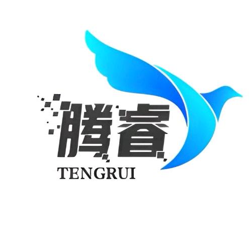 郑州腾睿汽车服务有限公司